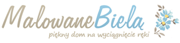 logo 2 big - WSPÓŁPRACA