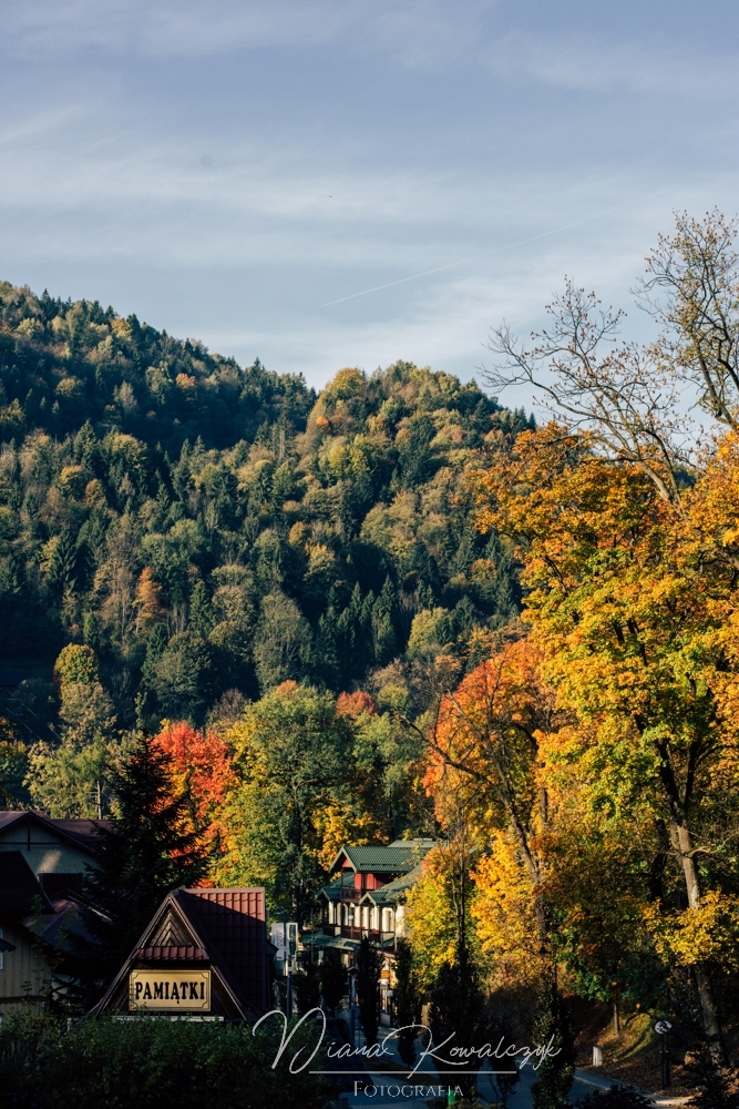 pieniny jesienia mientablog szczawnica 1 - Jesień w Pieninach