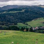 pieniny jesienia mientablog szczawnica 34 150x150 - Jesień w Pieninach