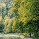 pieniny jesienia mientablog szczawnica 62 150x150 - Jesień w Pieninach