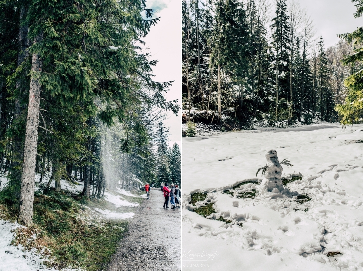 zakopane co robic z dzieckiem dolina bialego 1 - Zakopane z dzieckiem | Co robić i gdzie się wybrać?