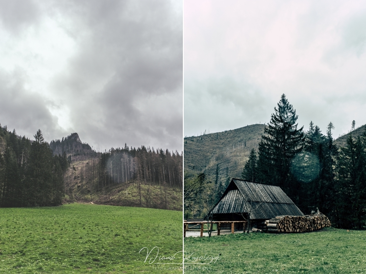 zakopane co robic z dzieckiem dolina koscieliska 5 - Zakopane z dzieckiem | Co robić i gdzie się wybrać?