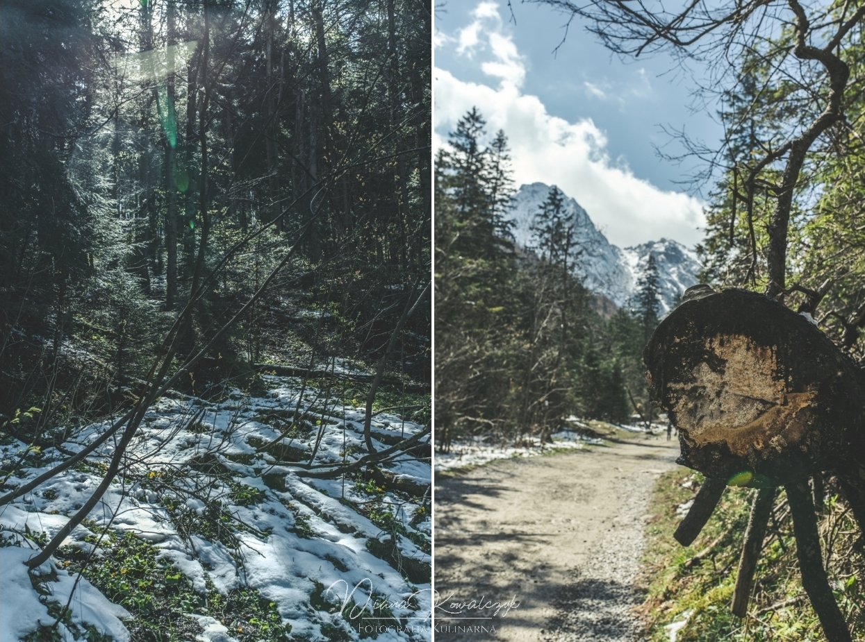 zakopane co robic z dzieckiem dolina strazyska 2 - Zakopane z dzieckiem | Co robić i gdzie się wybrać?