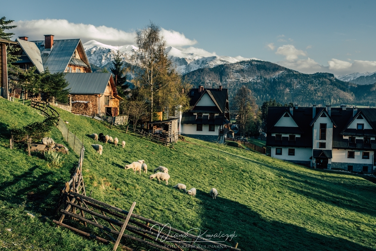zakopane nocleg villa miodula koscielisko 1 - Zakopane z dzieckiem | Co robić i gdzie się wybrać?