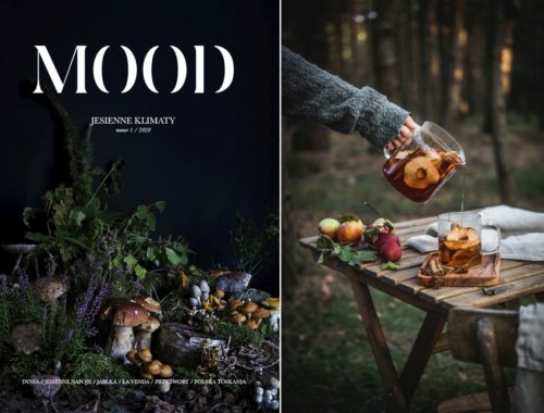 magazyn mood mientablog 500x380 - Magazyn kulinarno-lifestylowy MOOD